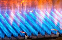 Hartlington gas fired boilers